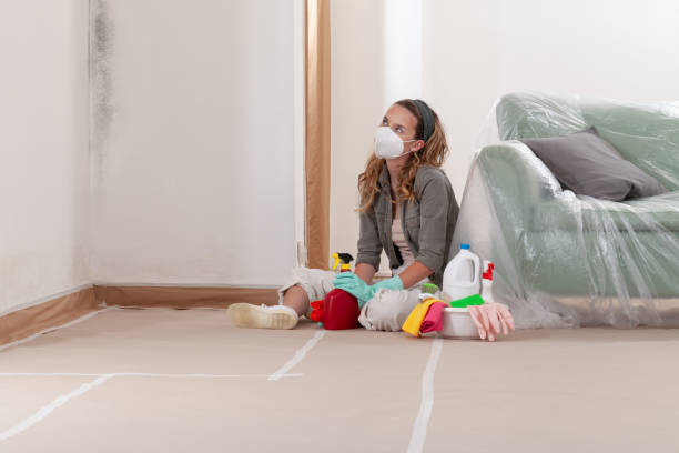 Reliable Mold Remediation contractor in Jenison, MI by 24 Hour Mold Removal
